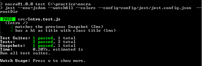 npm test